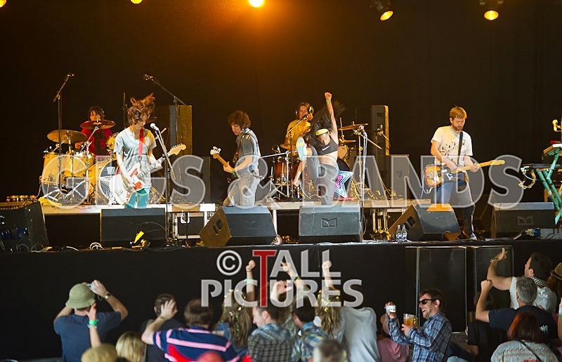 The Go Team-31 - THE GO! TEAM