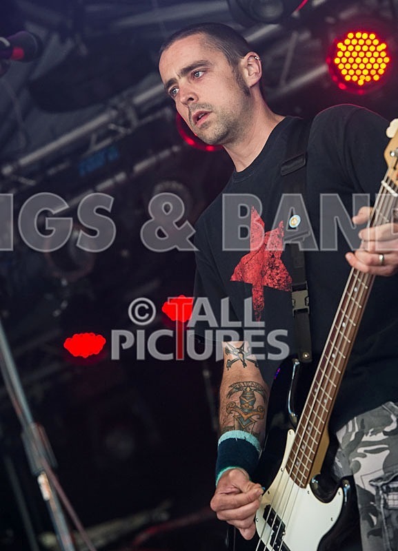 Bulletproof-5 - BULLETPROOF