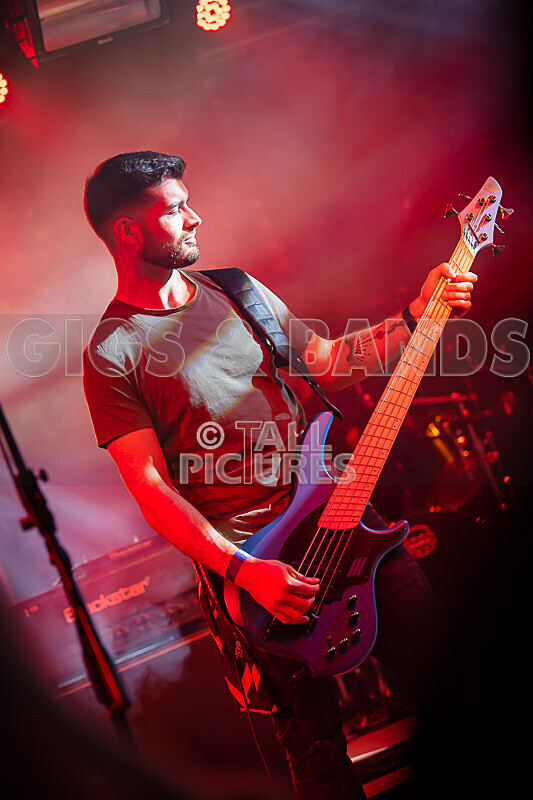 Demise of Sanity-217 - DEMISE OF SANITY