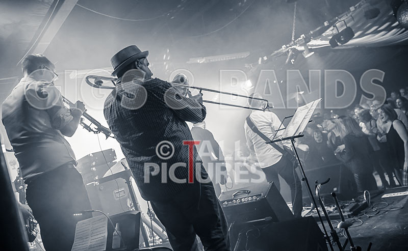 King Rat  the Soul Cats-345 - KING RAT AND THE SOUL CATS