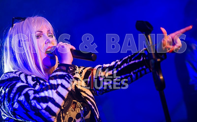 Blondied-6 - BLONDIED