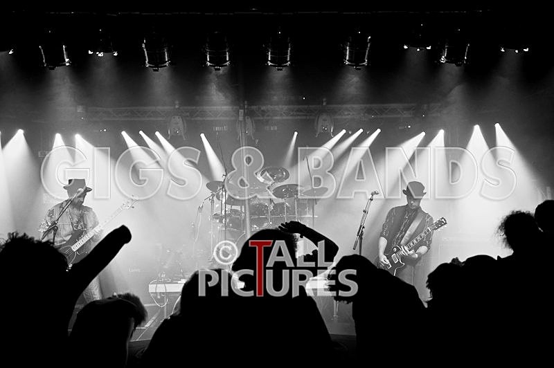 Peppered Ant Legs-82 - PEPPERED ANT LEGS