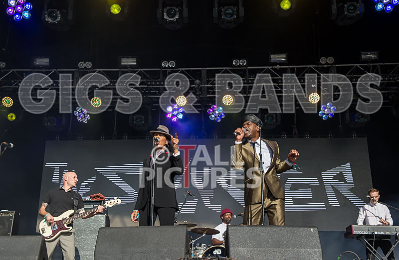 The Selecter-67 - THE SELECTER