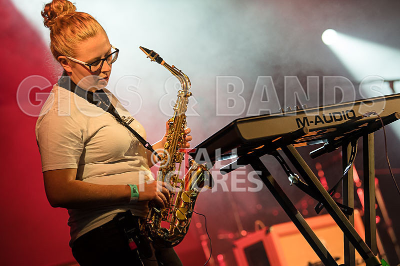 Honest Crooks-162 - HONEST CROOKS