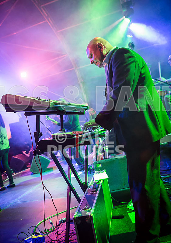 King Rat and the Soul Cats-300 - KING RAT AND THE SOUL CATS