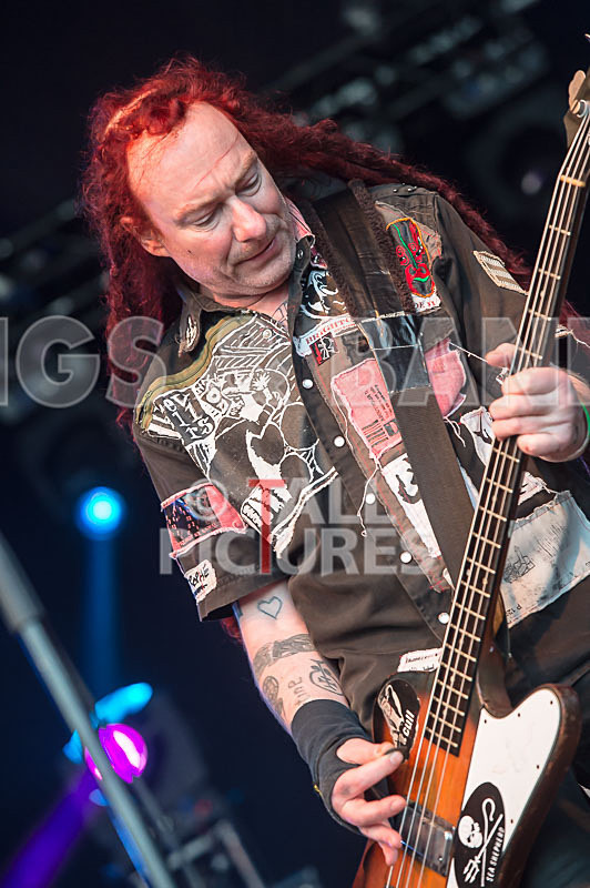 Levellers-50 - LEVELLERS