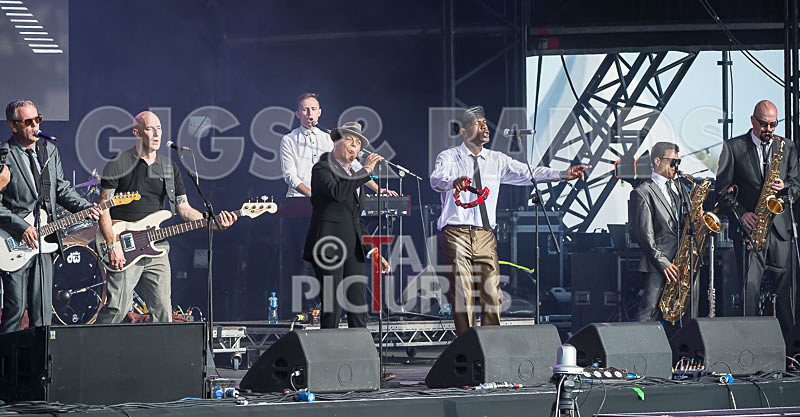 The Selecter-41 - THE SELECTER