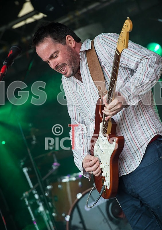 Wild Card-135 - WILD CARD