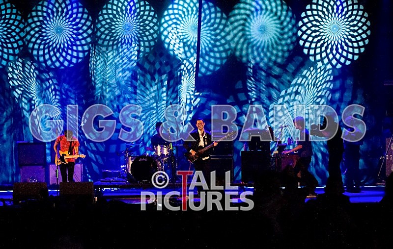 We are Scientists-17 - WE ARE SCIENTISTS