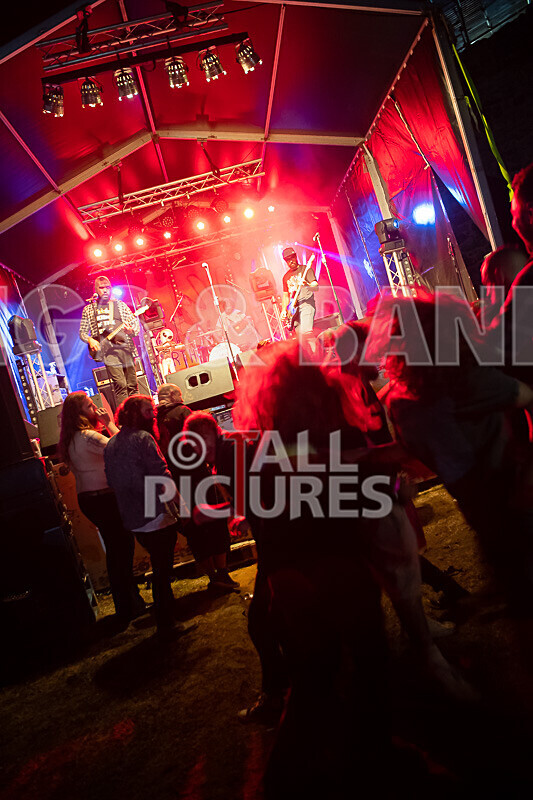 To the Woods-454 - TO THE WOODS