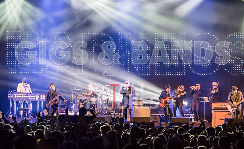 Madness-29 - MADNESS