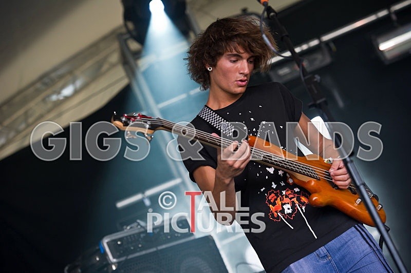 Pirate Video Company-1 - PIRATE VIDEO COMPANY