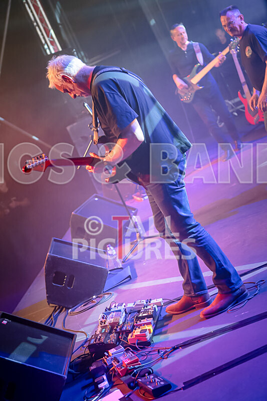 Elysium as Pink Floyd-246 - ELYSIUM as PINK FLOYD