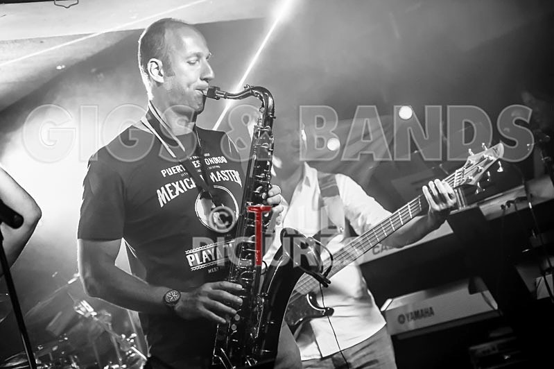 Elysium-269 - ELYSIUM