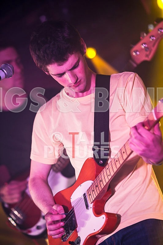 China Aster-94 - CHINA ASTER