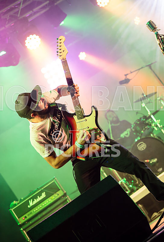 Static Alice-542 - STATIC ALICE