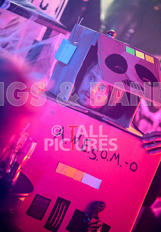 Halloween Gig 2017-7 - HALLOWEEN PARTY AT THE TAV 2017 - THE FUN