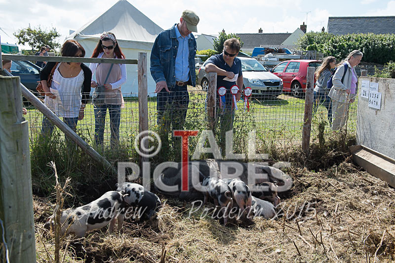 West Show_2014-21 - THE WEST SHOW 2014