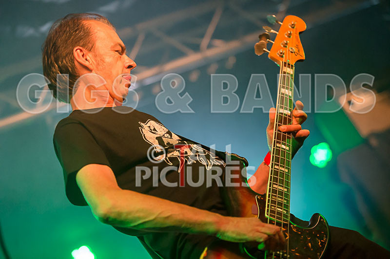 The Electric Shakes-84 - THE ELECTRIC SHAKES