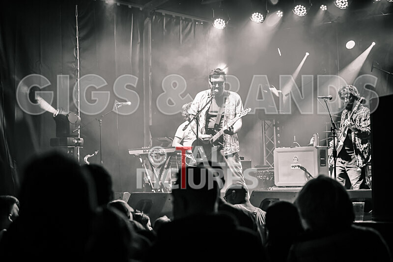 Honest Crooks-240 - HONEST CROOKS