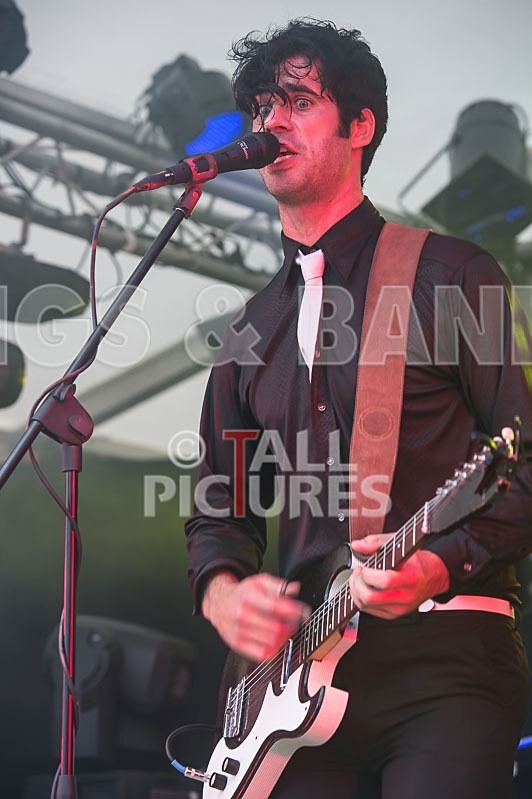 Surfin Birds-9 - THE SURFIN' BIRDS