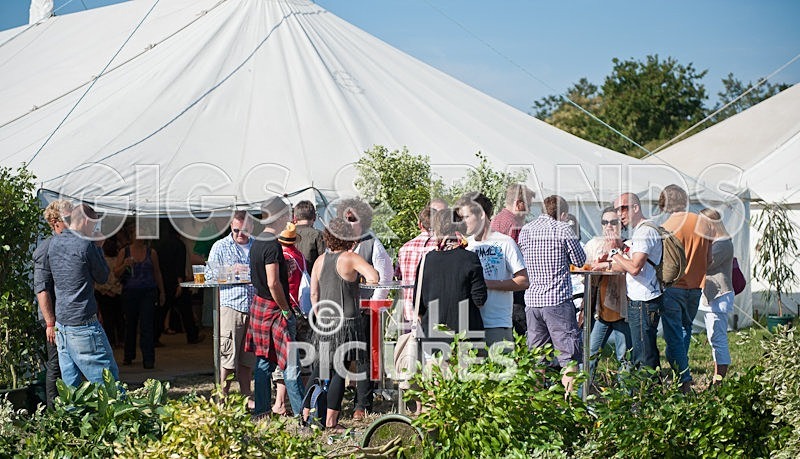 Guernsey Festival Scene-12 - THE GUERNSEY FESTIVAL ATMOSPHERE AND SCENE
