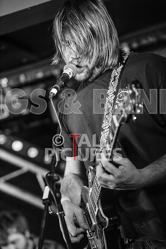 To the Woods-218 - TO THE WOODS