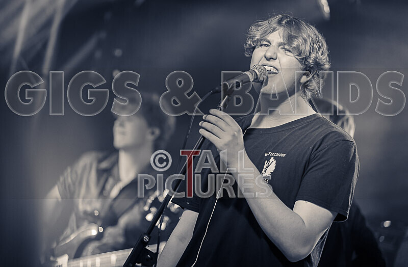 Sonic Bomb-177 - SONIC BOMB