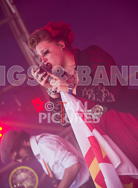 Static Alice-353 - STATIC ALICE