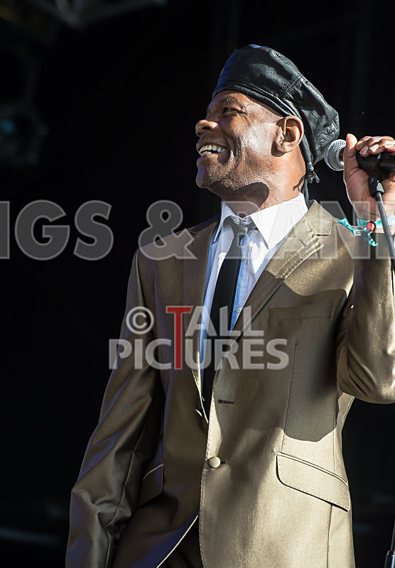 The Selecter-81 - THE SELECTER