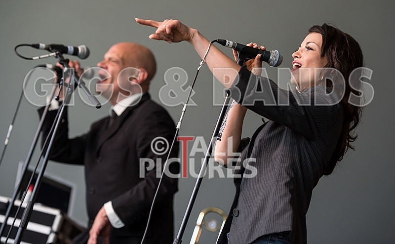 Kitten  The Hip-21 - KITTEN & THE HIP