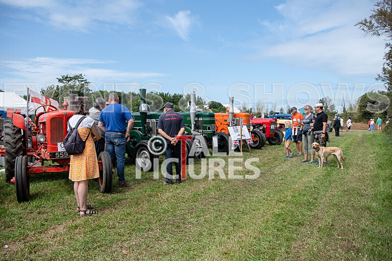 Guernsey Agricultural Show 2021-163 - GUERNSEY AGRICULTURAL SHOW 2021
