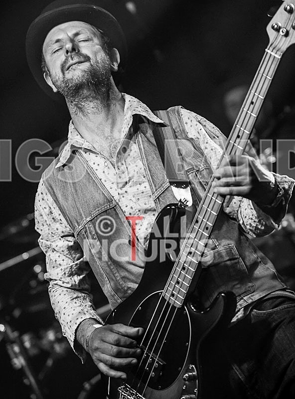 Peppered Ant Legs_Chaos8-15 - PEPPERED ANT LEGS