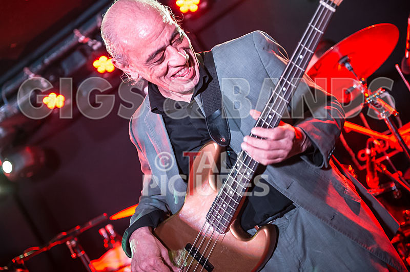 The Blockheads-85 - THE BLOCKHEADS