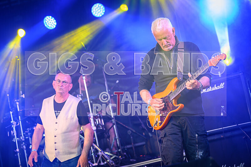 Elysium-350 - ELYSIUM