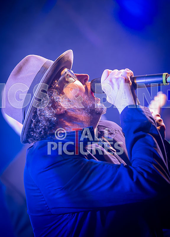 Sons of the Desert-244 - SONS OF THE DESERT