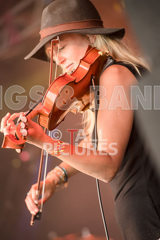 Buffalo Huddleston-465 - BUFFALO HUDDLESTON