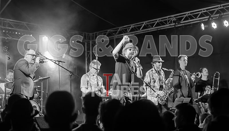 Sons of the Desert-290 - SONS OF THE DESERT