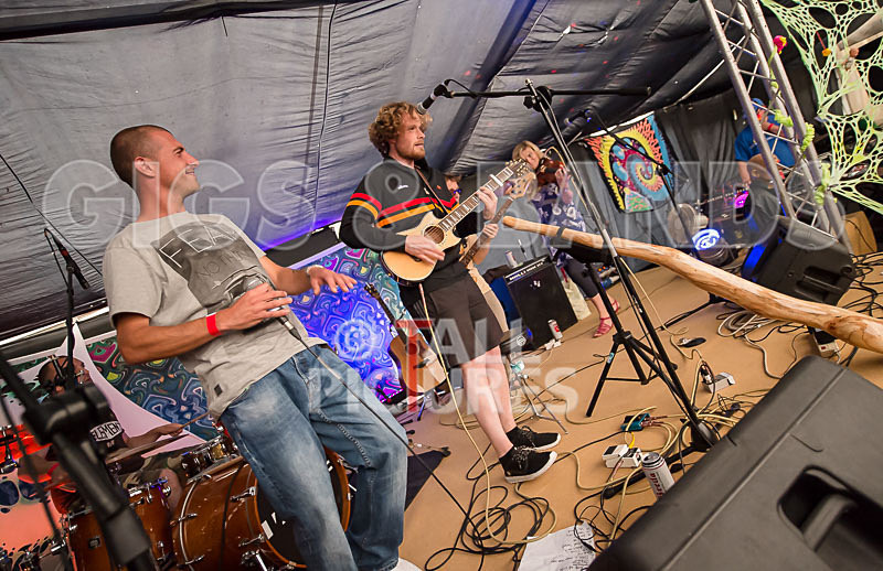 Buffalo Huddleston-230 - BUFFALO HUDDLESTON