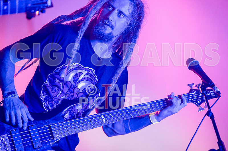 Distant Shores-62 - DISTANT SHORES