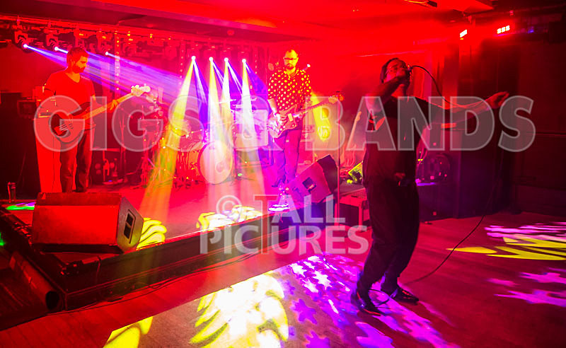 Gay Army-247 - GAY ARMY