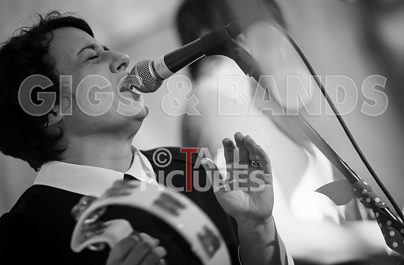 Swallows-21 - SWALLOWS