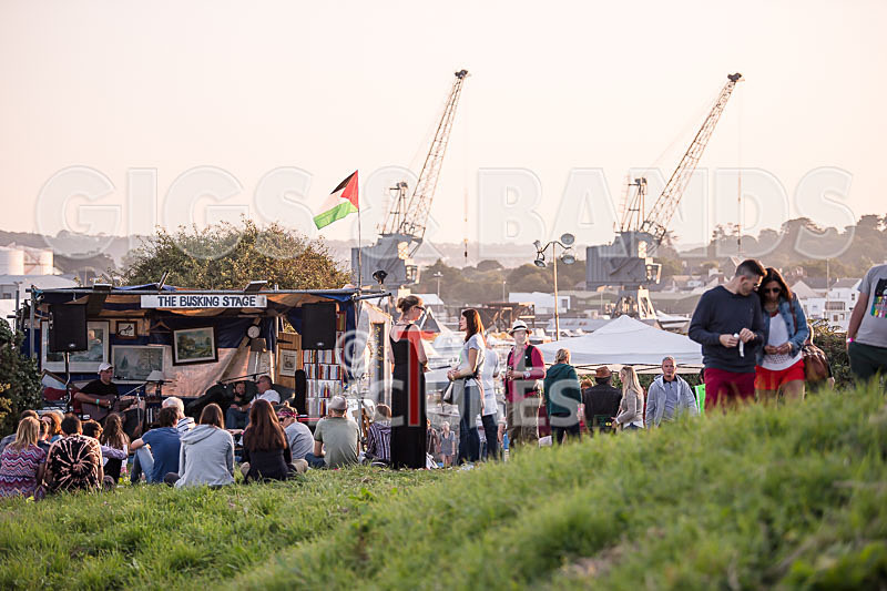 Vale Earth Fair 2017_SCENE-157 - VALE EARTH FAIR 2017_THE SCENE