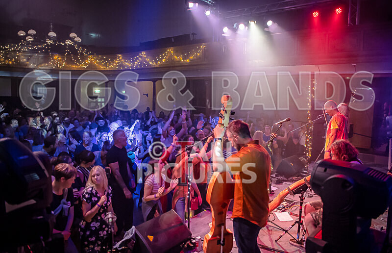 Buffalo Huddleston-546 - BUFFALO HUDDLESTON