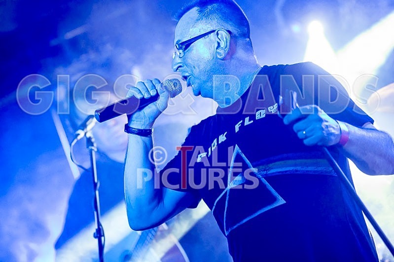 Elysium-272 - ELYSIUM