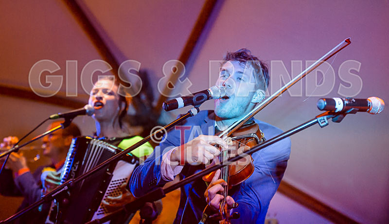 Molotov Jukebox-14 - MOLOTOV JUKEBOX