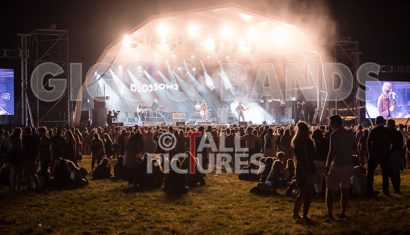 Blossoms-51 - BLOSSOMS