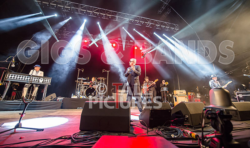 Madness-40 - MADNESS