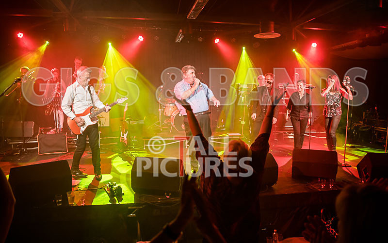 King Rat_30th Birthday Gig-83 - KING RAT AND THE SOUL CATS 30th BIRTHDAY