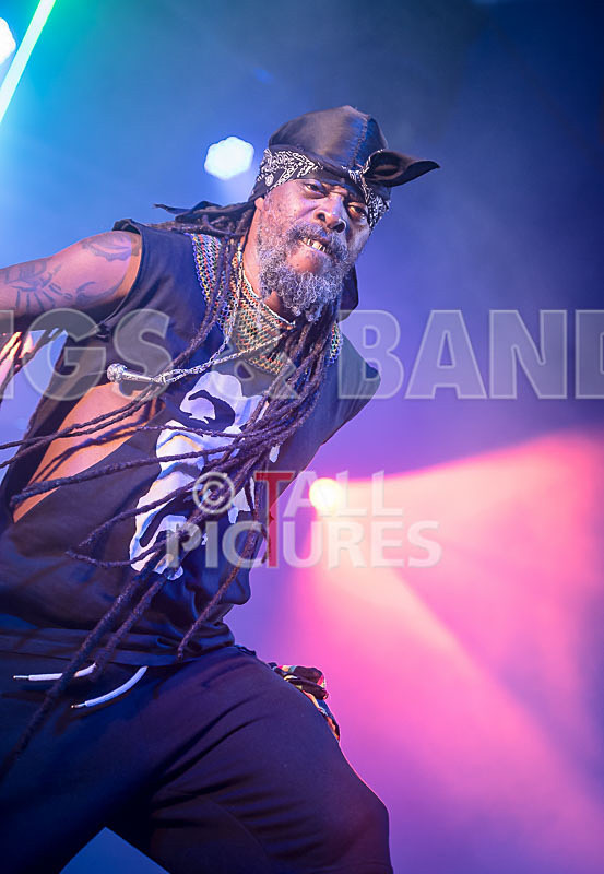 Asian Dub Foundation-38 - ASIAN DUB FOUNDATION